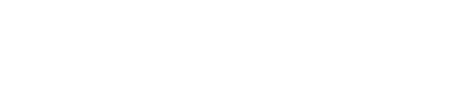 CICSA | Chain systems for bulk material handling solutions