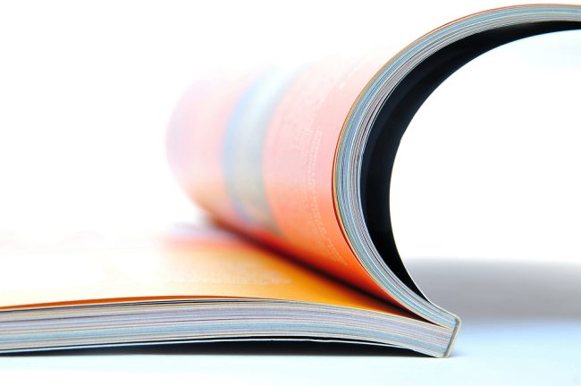 Articolo per la rivista